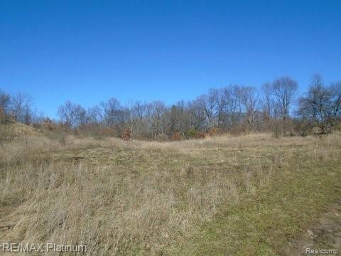 7072 Denton Hill Road Fenton, MI 48430 - Photo 8 of 27 Gallery Image 8