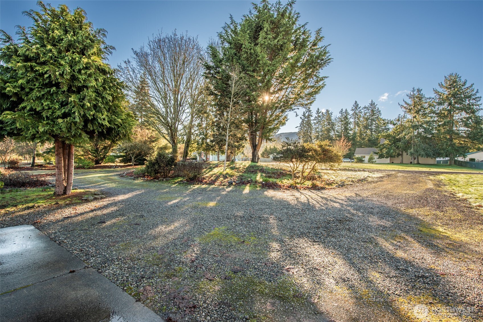 72 West Quail Lane Sequim, WA 98382 - Photo 21 of 29 a view of dirt yard with a large tree