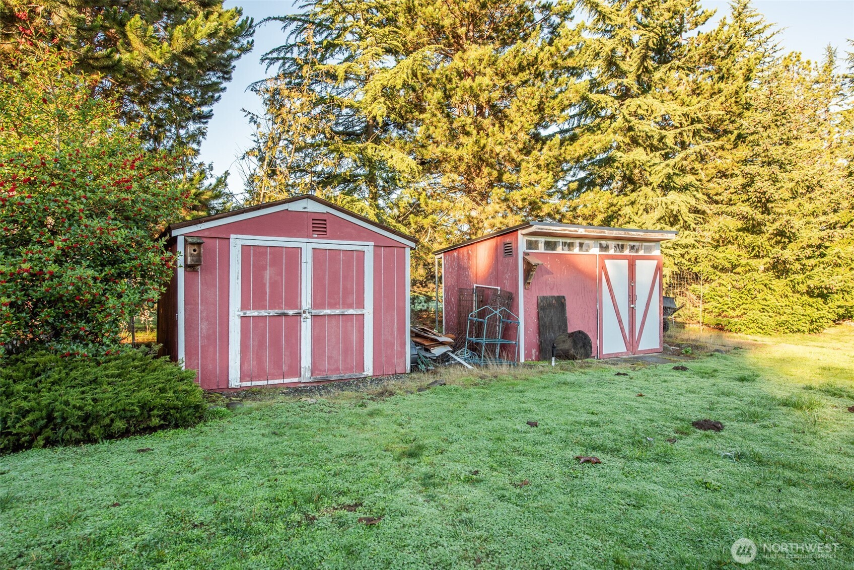 72 West Quail Lane Sequim, WA 98382 - Photo 28 of 29 a view of a backyard with potted plants and large tree