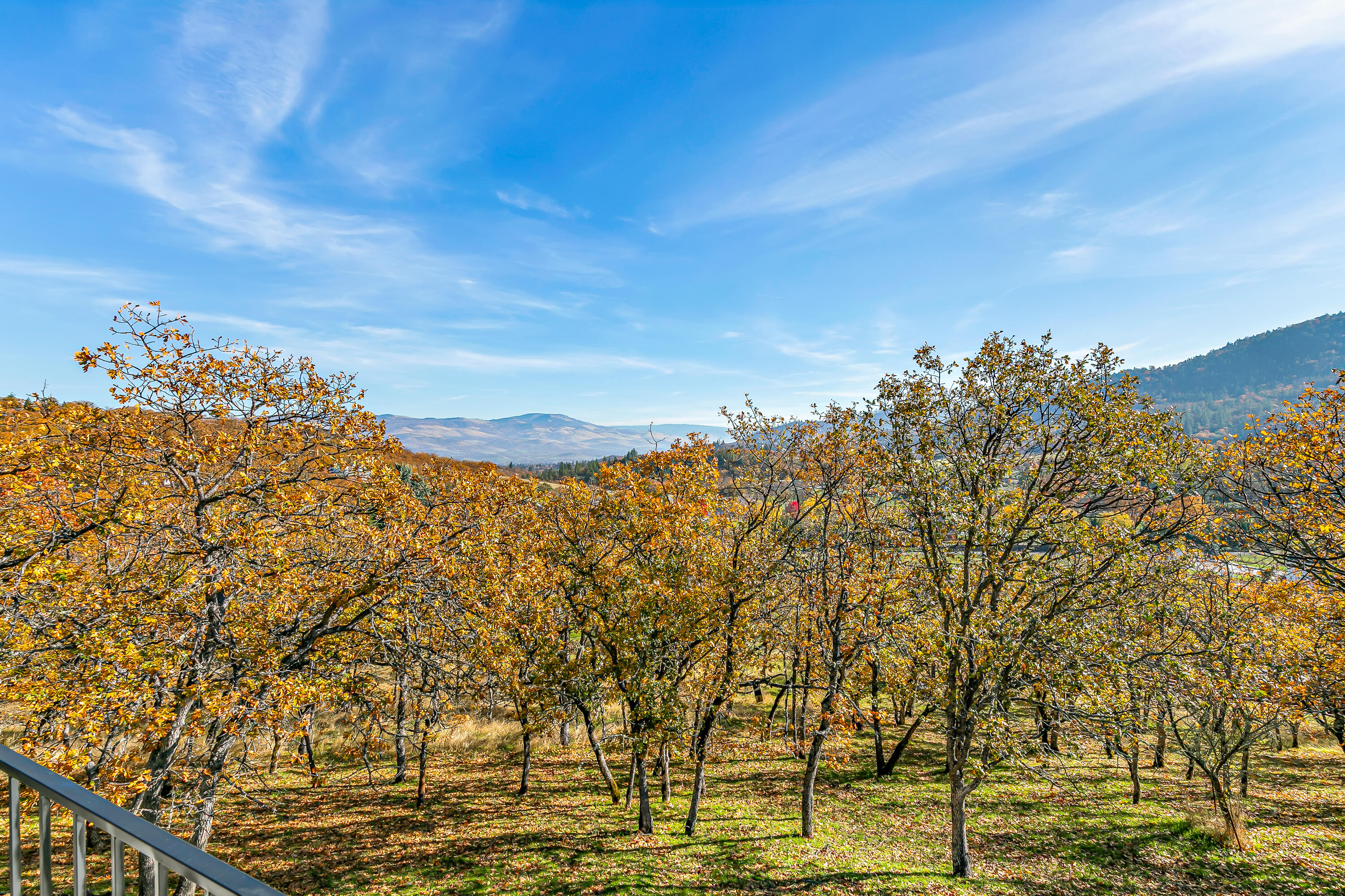 5977 Dark Hollow Road Medford, OR 97501 - Photo 24 of 38 9R9A9959