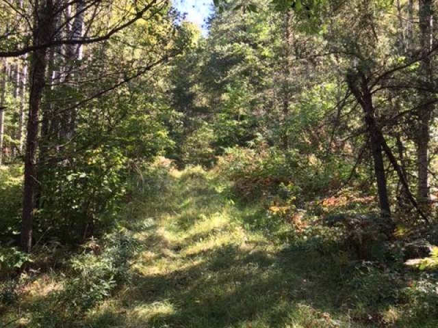 Near River Road Tomahawk, WI 54487 - Photo 12 of 12 Gallery Image 12
