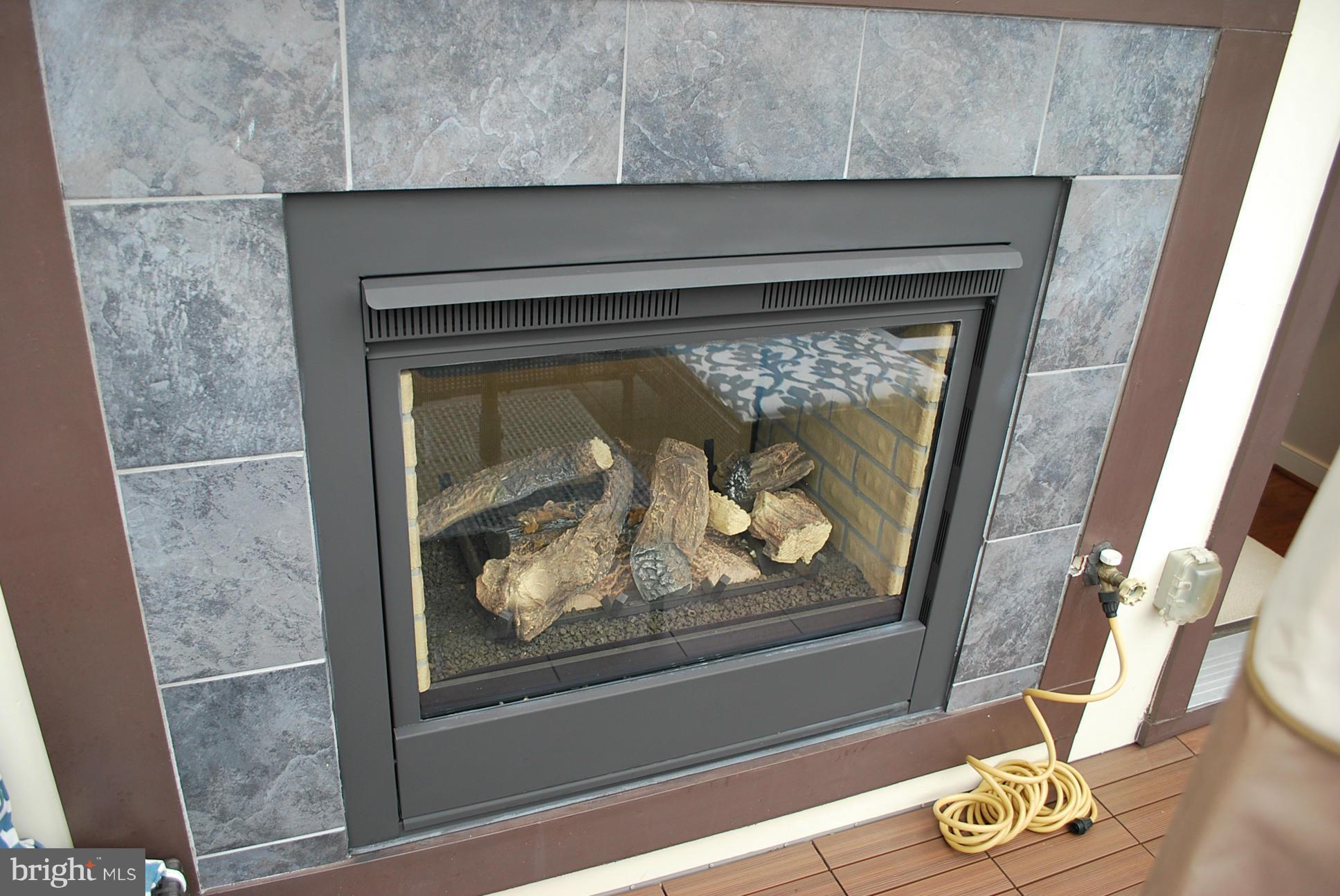 2726 Cassedy Street Silver Spring, MD 20910 - Photo 27 of 29 Outside Fireplace