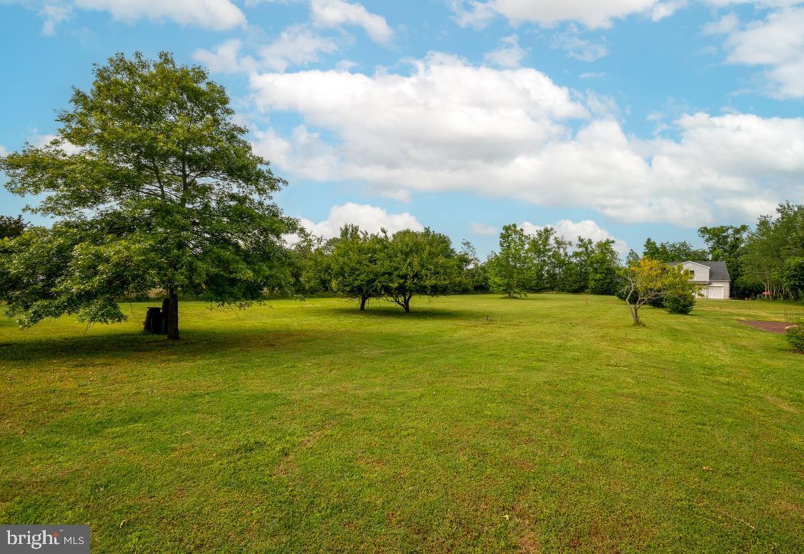 32789 Cedar Drive Ocean View, DE 19970 - Photo 17 of 18 a view of yard with swimming pool and green space