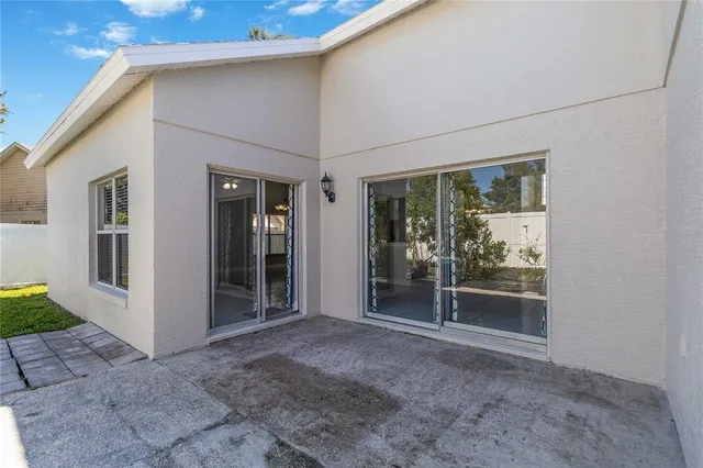 a view of a backyard with plants and large tree