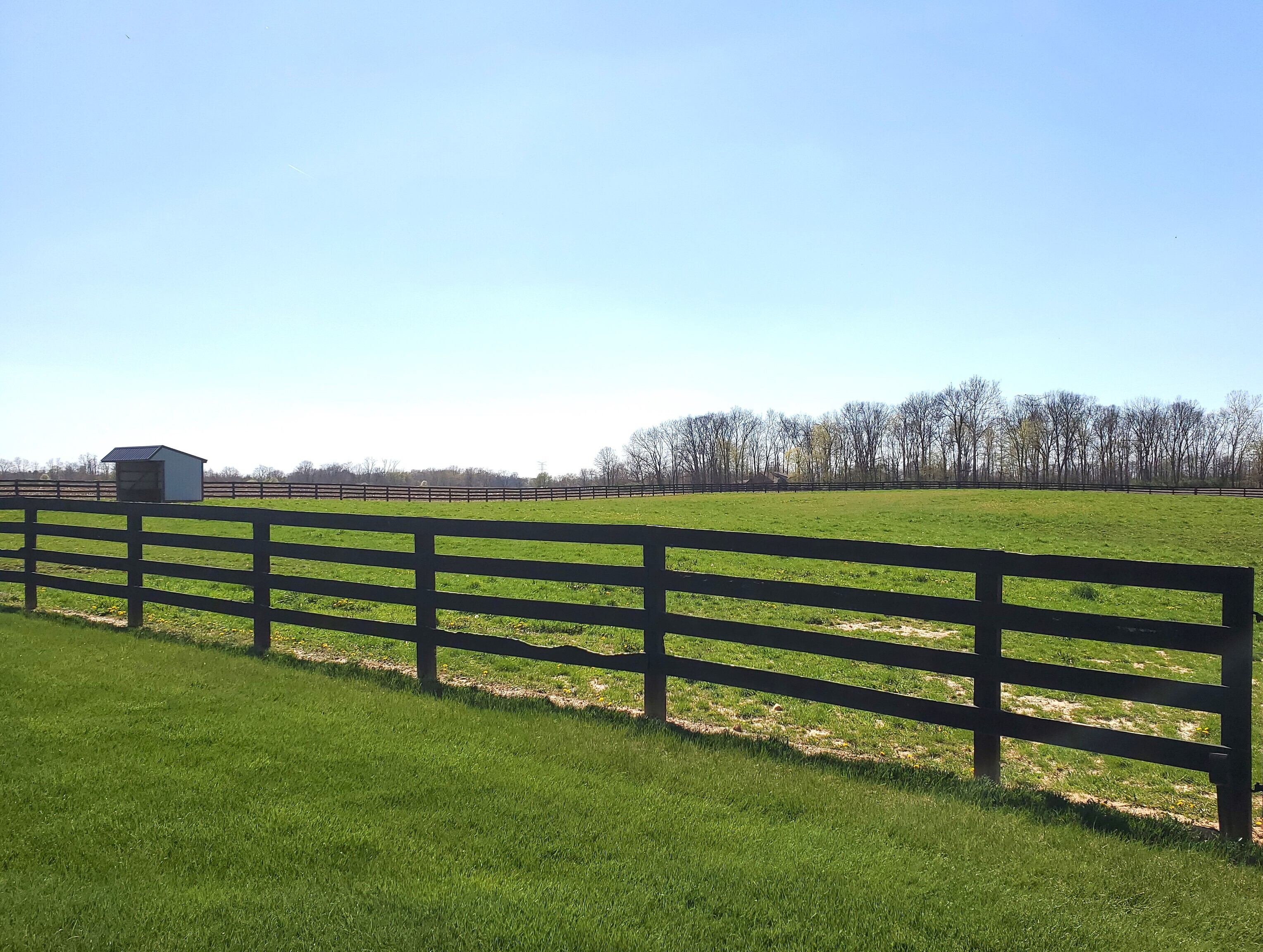 6115 Travis Road Greenwood, IN 46143 - Photo 6 of 35