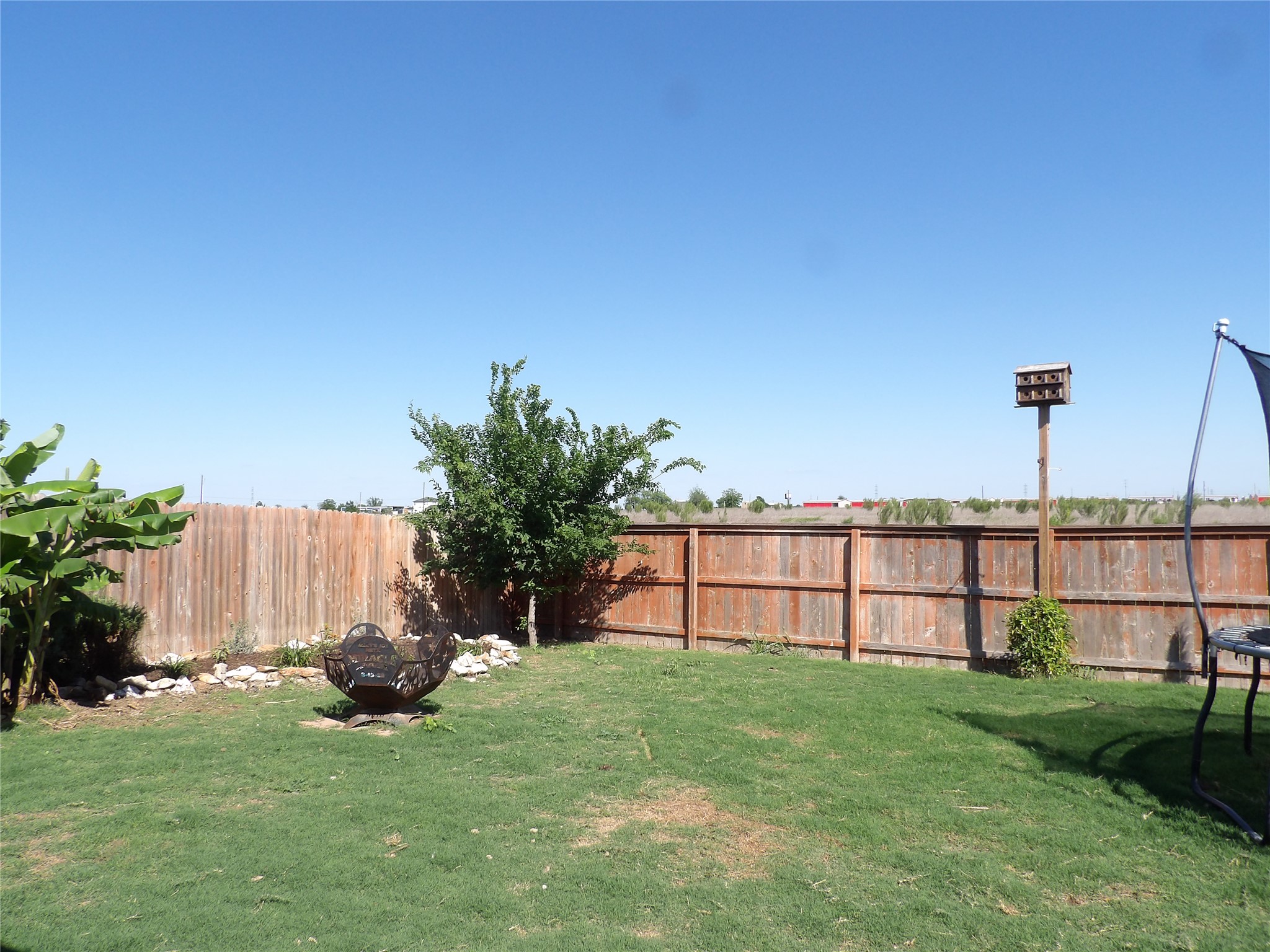 930 Pumpkin Ridge New Braunfels, TX 78130 - Photo 28 of 32 Expansive backyard featuring a manicured lawn, a wood privacy fence, and mature foliage