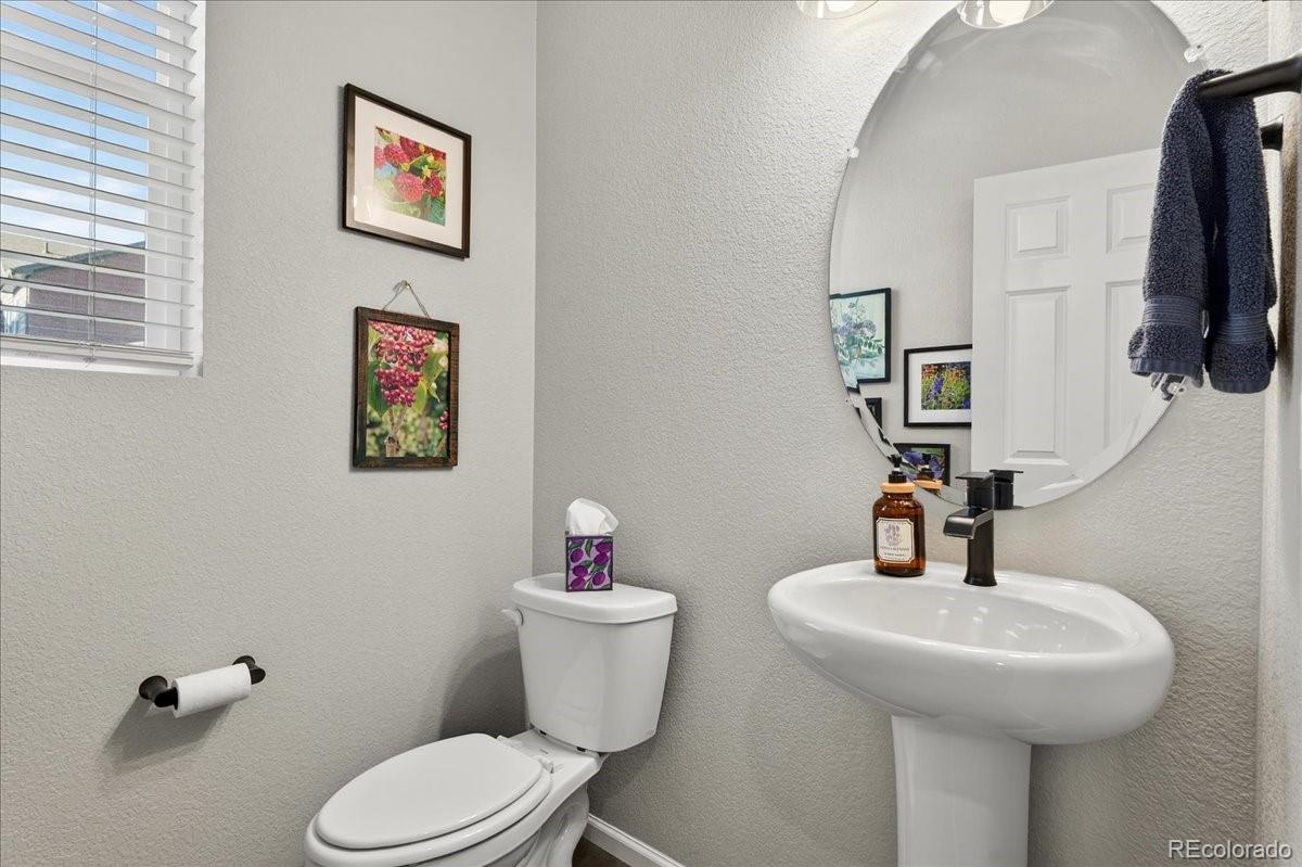 9793 Banner Peak Loop Littleton, CO 80125 - Photo 18 of 42 a bathroom with a toilet sink and mirror