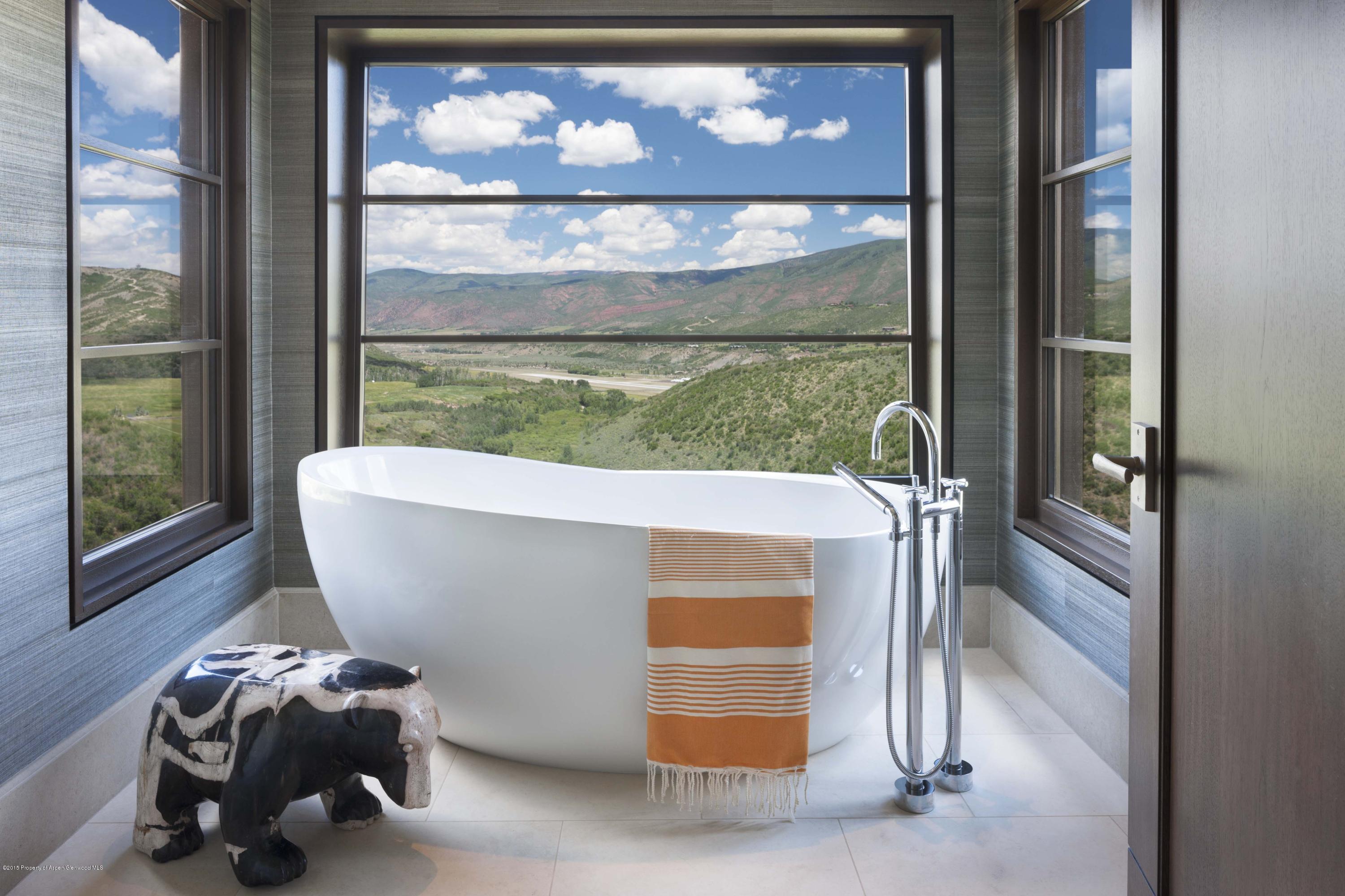 101 Oak Ridge Drive Aspen, CO 81611 - Photo 17 of 18 a room with a table and a potted plant