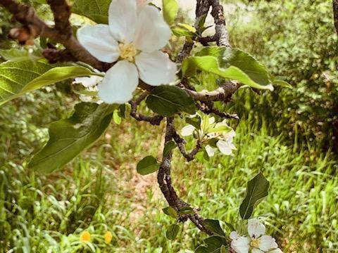 443 Unity Road Albion, ME 04910 - Photo 12 of 51 IMG_20241204_113812