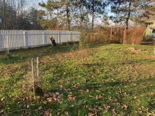 443 Unity Road Albion, ME 04910 - Photo 13 of 51 IMG_20241204_113742