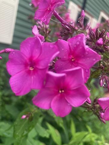 443 Unity Road Albion, ME 04910 - Photo 14 of 51 IMG_20241204_113801