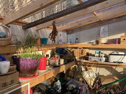 443 Unity Road Albion, ME 04910 - Photo 38 of 51 IMG_20241204_111957