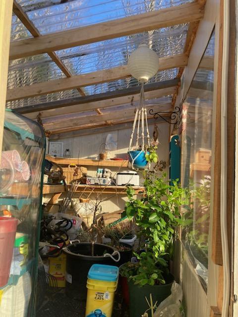 443 Unity Road Albion, ME 04910 - Photo 39 of 51 IMG_20241204_111959