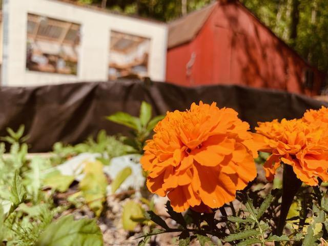 443 Unity Road Albion, ME 04910 - Photo 42 of 51 IMG_20241204_113806