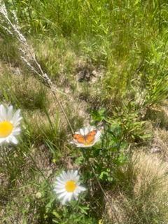 443 Unity Road Albion, ME 04910 - Photo 43 of 51 IMG_20241204_113805