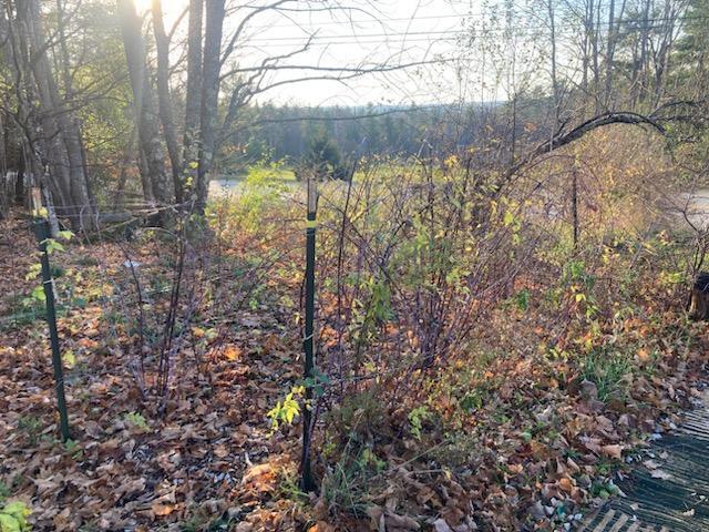 443 Unity Road Albion, ME 04910 - Photo 46 of 51 IMG_20241204_113755