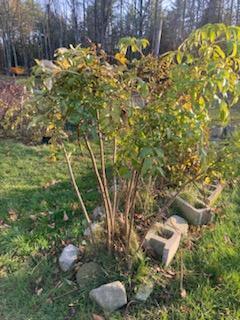 443 Unity Road Albion, ME 04910 - Photo 47 of 51 IMG_20241204_113749