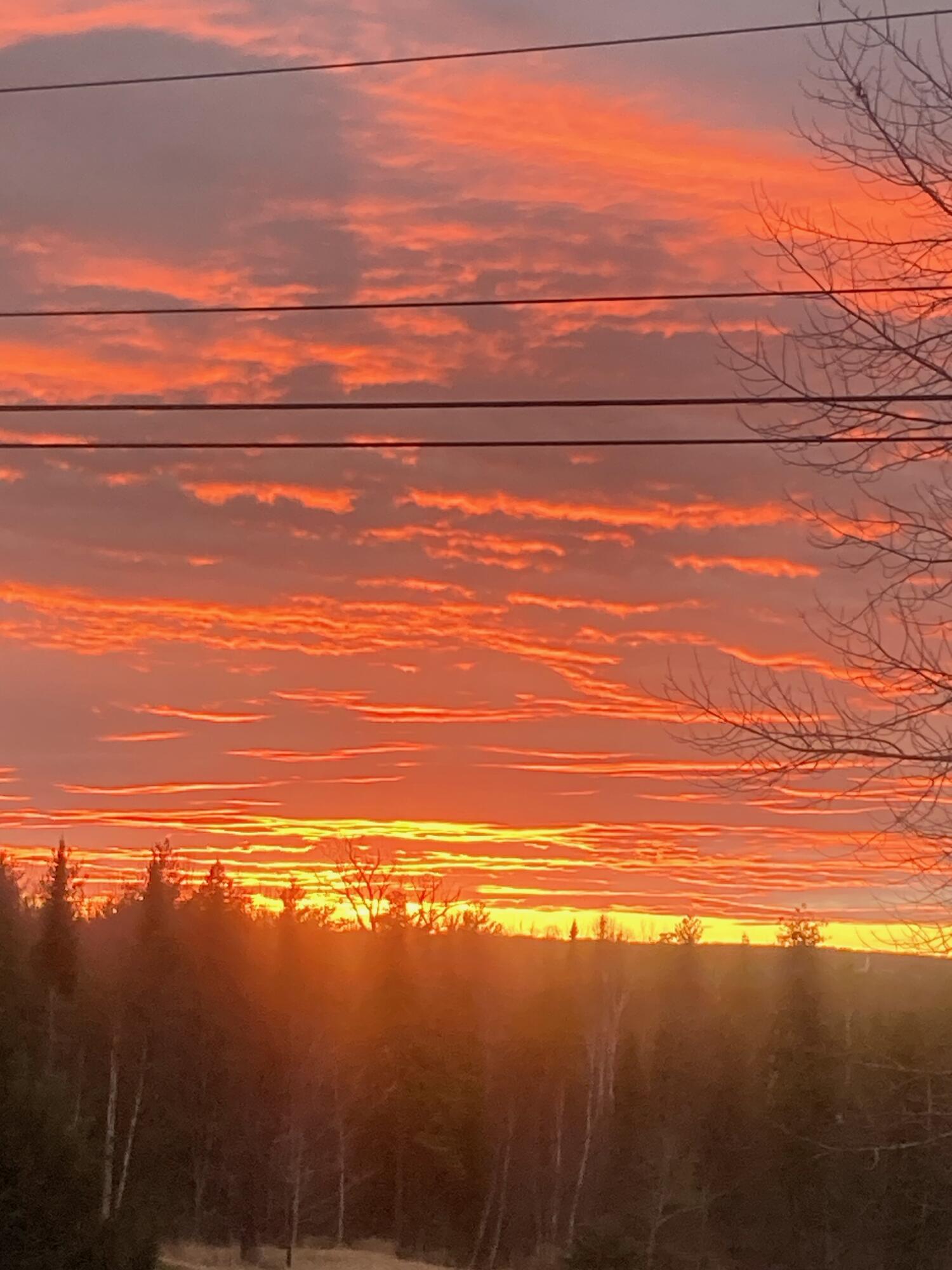 443 Unity Road Albion, ME 04910 - Photo 51 of 51 IMG_20241204_112043