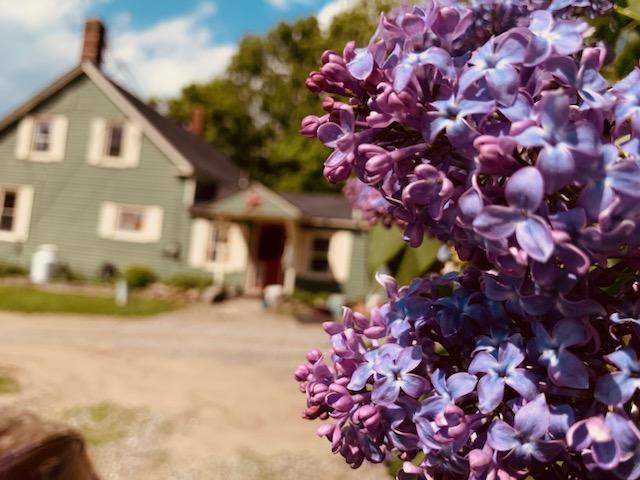 443 Unity Road Albion, ME 04910 - Photo 10 of 51 IMG_20241204_113810