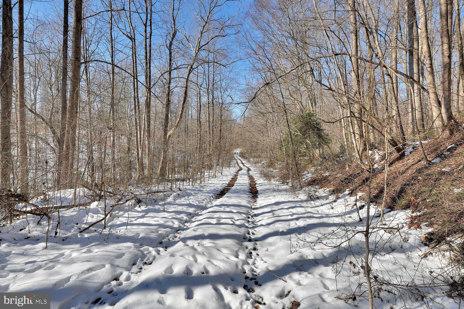 13729 Martin Road Brandywine, MD 20613 - Photo 26 of 26 a view of outdoor space with patio