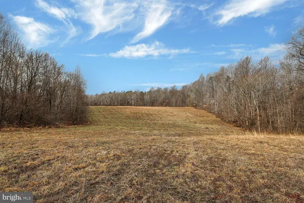 a view of a yard