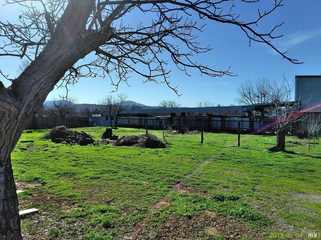 a view of a backyard with potted plants and large tree