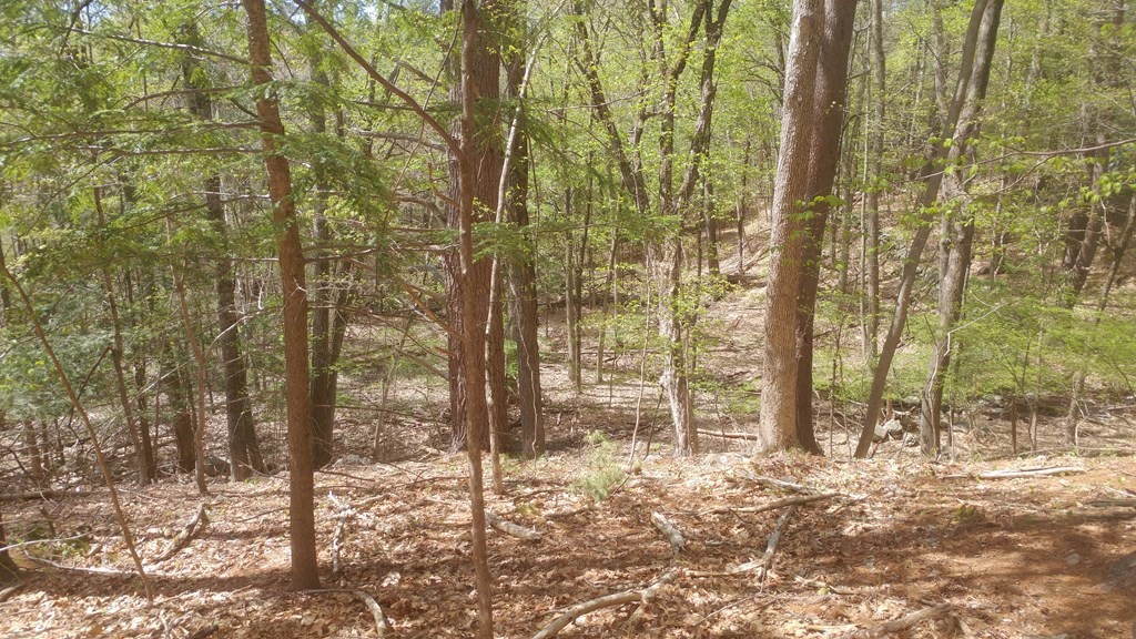 20 Wildmeadow Road Boxford, MA 01921 - Photo 40 of 40 Gallery Image 40