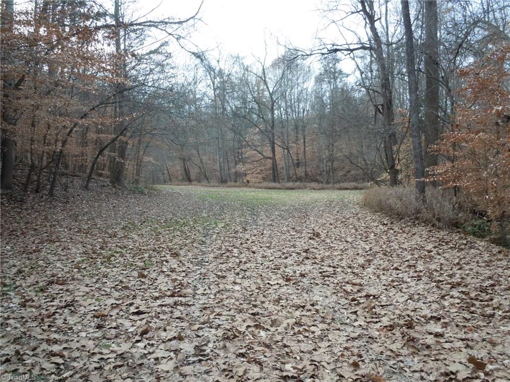 Tract C Culler Road Clemmons, NC 27012 - Photo 11 of 15