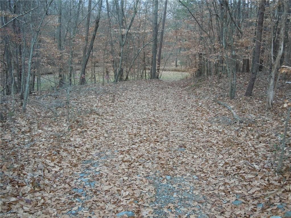 Tract C Culler Road Clemmons, NC 27012 - Photo 6 of 15