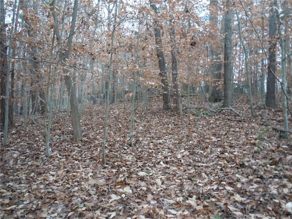 Tract C Culler Road Clemmons, NC 27012 - Photo 7 of 15