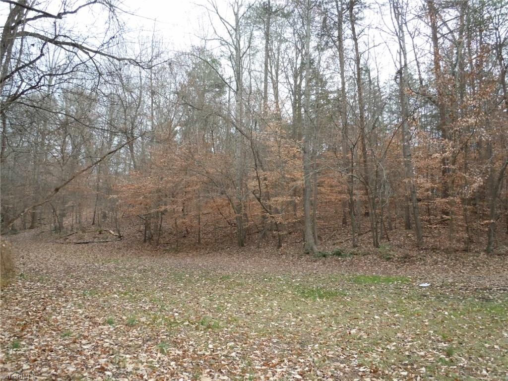 Tract C Culler Road Clemmons, NC 27012 - Photo 8 of 15
