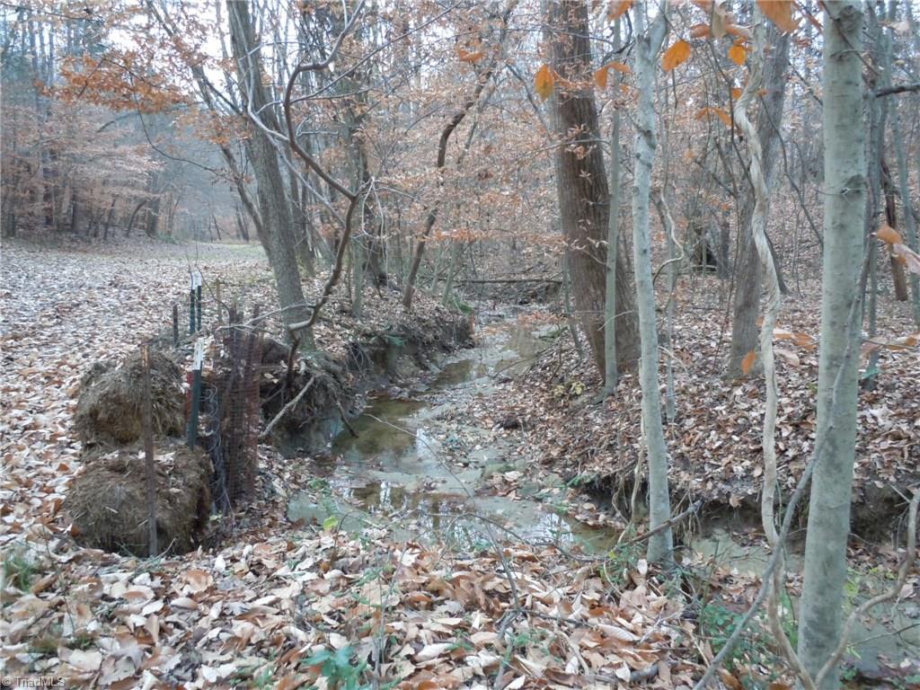 Tract C Culler Road Clemmons, NC 27012 - Photo 9 of 15