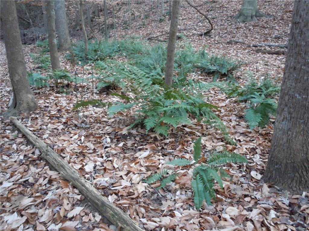 Tract C Culler Road Clemmons, NC 27012 - Photo 10 of 15