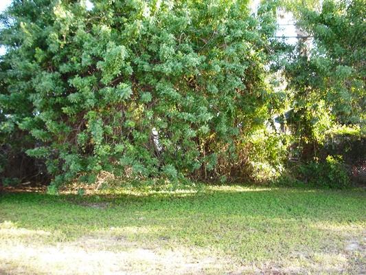 370 Miner Road Boynton Beach, FL 33435 - Photo 19 of 20 Rear Yard (1)