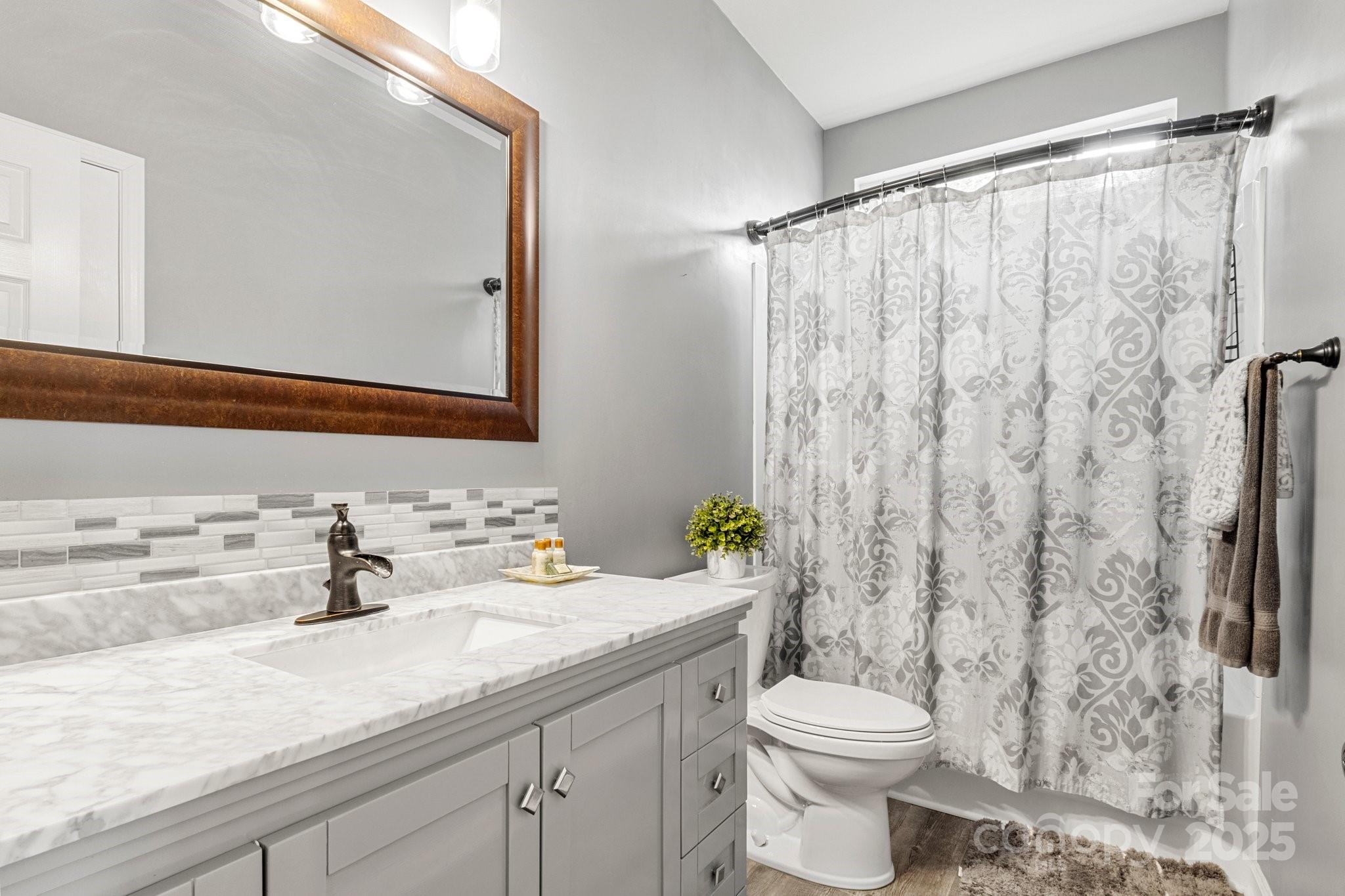 3820 Leela Palace Way Fort Mill, SC 29708 - Photo 36 of 48