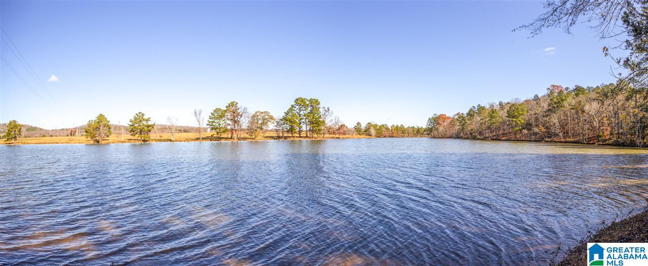 333 Riverview Lane Ohatchee, AL 36271 - Photo 39 of 50