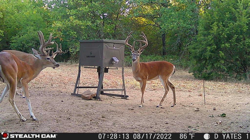 1000 Middleton Road Weatherford, TX 76088 - Photo 30 of 31 Additional content