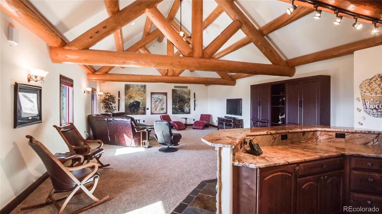 13938 Elsie Road Conifer, CO 80433 - Photo 22 of 35