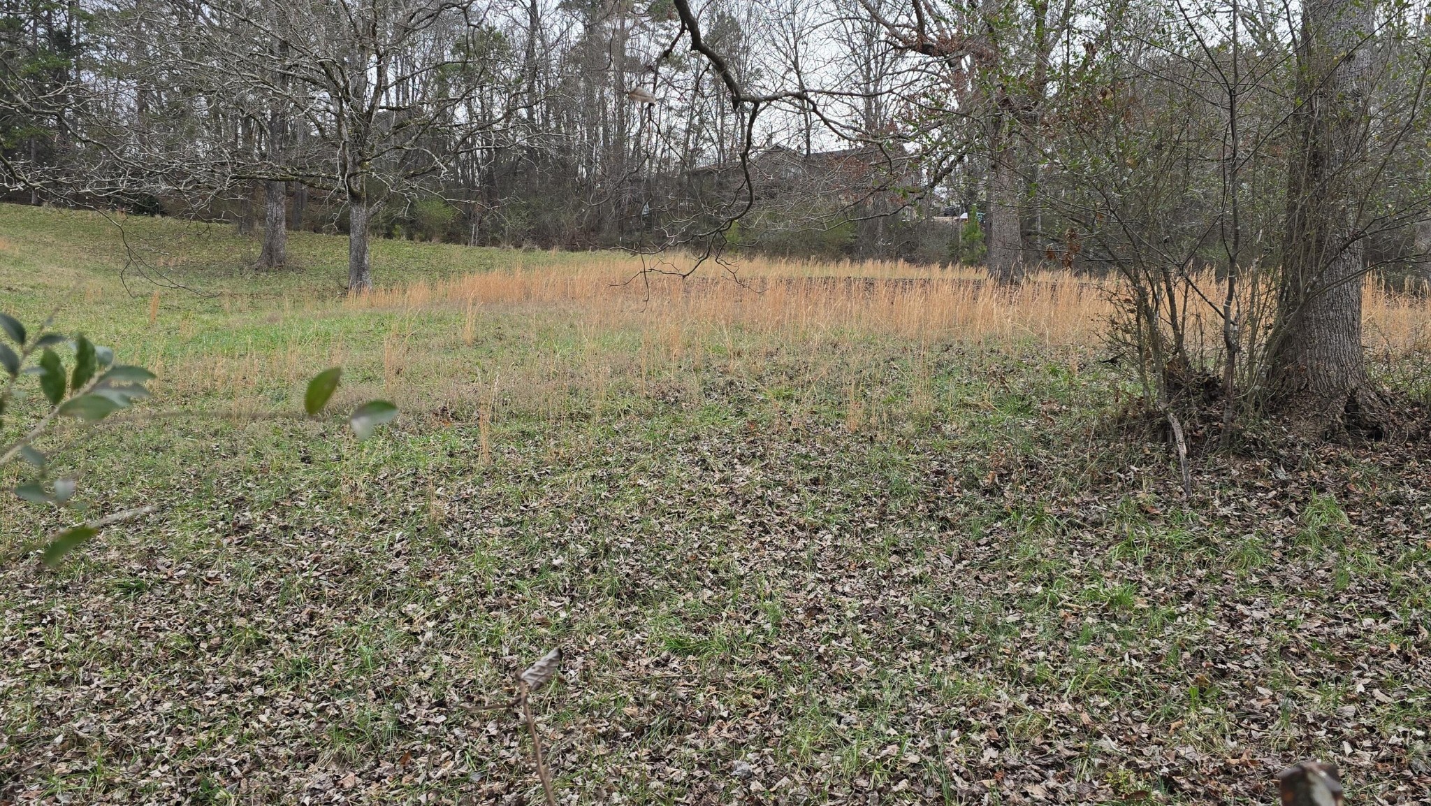1484 Blythes Ferry Road Dayton, TN 37321 - Photo 42 of 44 Gallery Image 42
