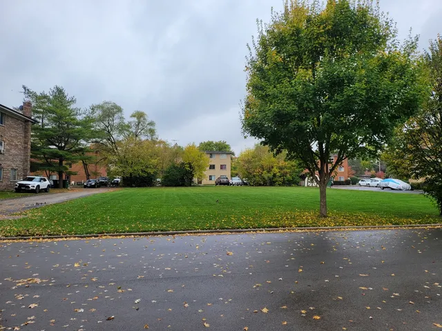 a view of road and trees