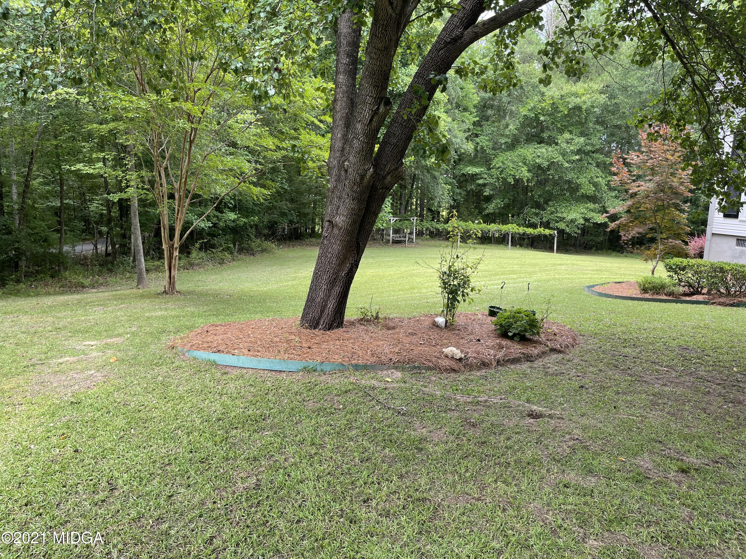 253 Ridge Crest Drive Macon, GA 31210 - Photo 15 of 16 a view of a garden with a tree