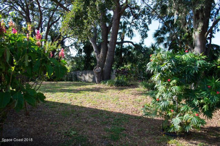 6130 Edison Street Cocoa, FL 32927 - Photo 13 of 15 a view of a yard with large trees