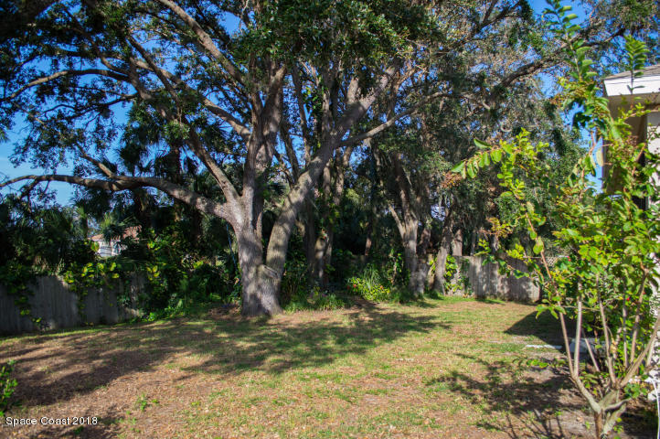 6130 Edison Street Cocoa, FL 32927 - Photo 14 of 15 a view of a tree with a yard