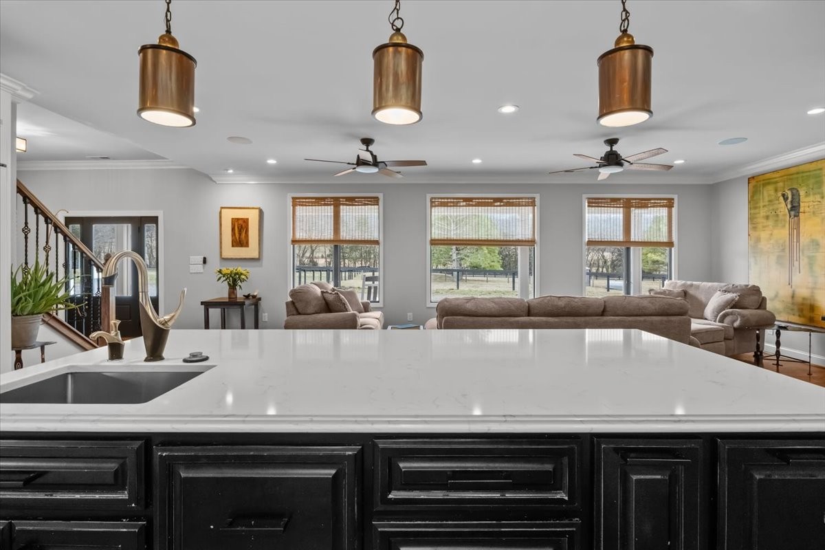 1355 Mitchell Road Pulaski, TN 38478 - Photo 19 of 95 a kitchen with a sink and a potted plant