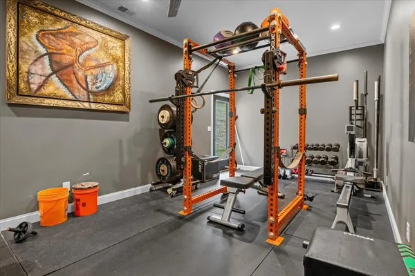 a view of a yard with large trees