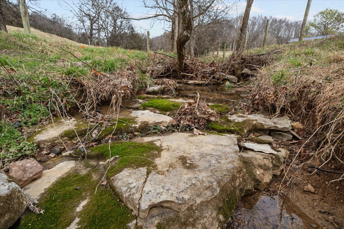 1355 Mitchell Road Pulaski, TN 38478 - Photo 70 of 95 a view of a yard with large trees