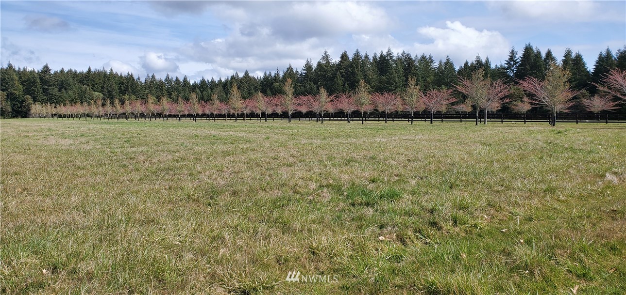 237000 Wax Orchard Road Southwest Vashon, WA 98070 - Photo 10 of 10