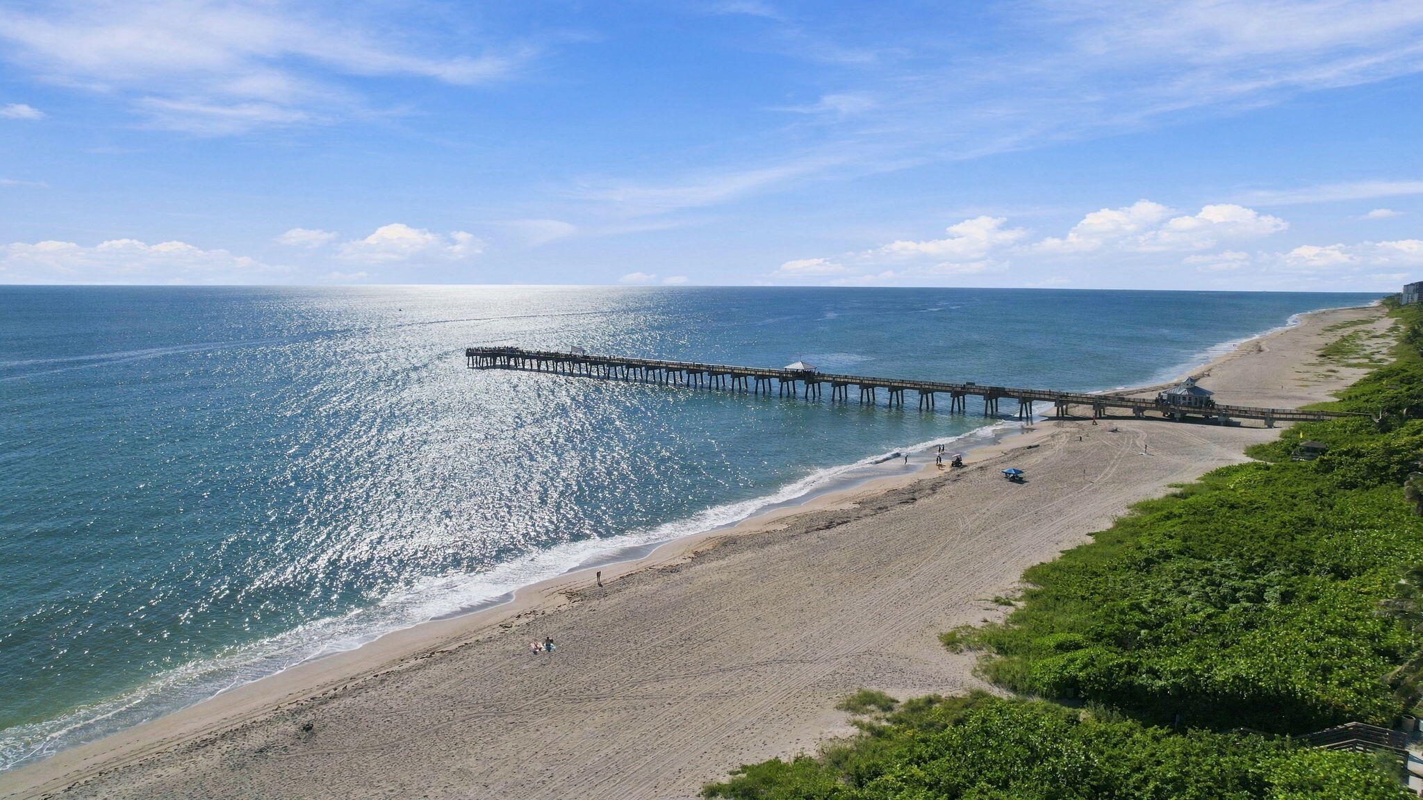 352 River Edge Road Jupiter, FL 33477 - Photo 69 of 72 Juno Pier