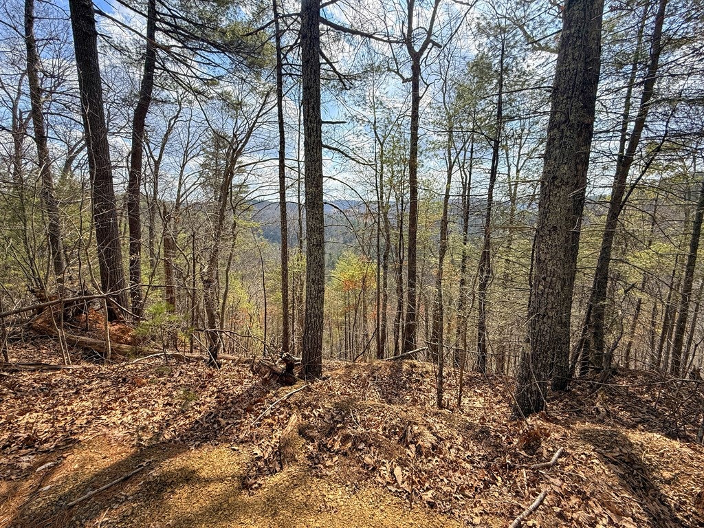 906 Scratch Gravel Road Max Meadows, VA 24360 - Photo 24 of 27 Gallery Image 24