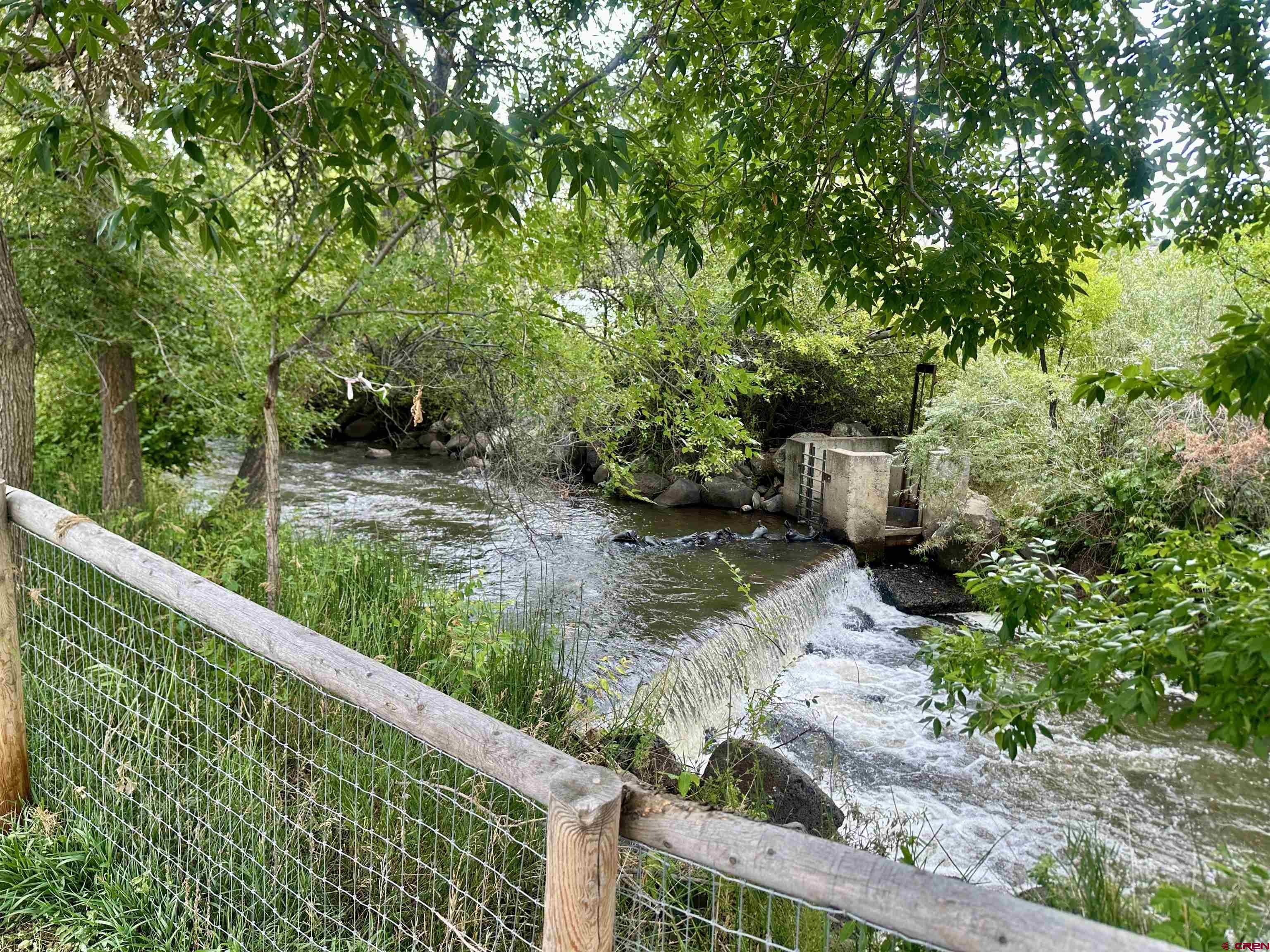 515 Southeast 2nd Street Cedaredge, CO 81413 - Photo 33 of 35 a view of a garden with a tree